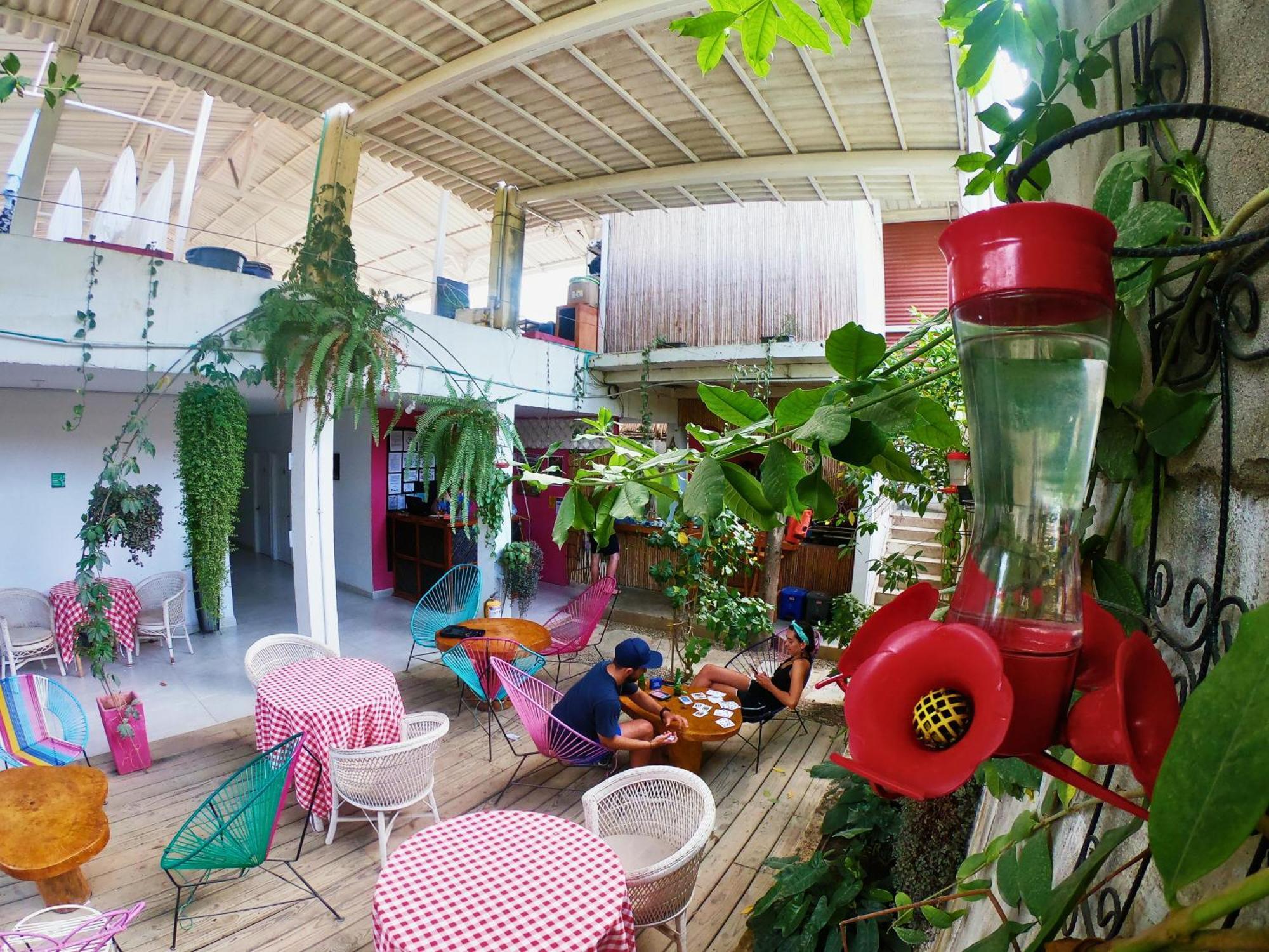 Casa Colibri Palomino Hotell Exteriör bild